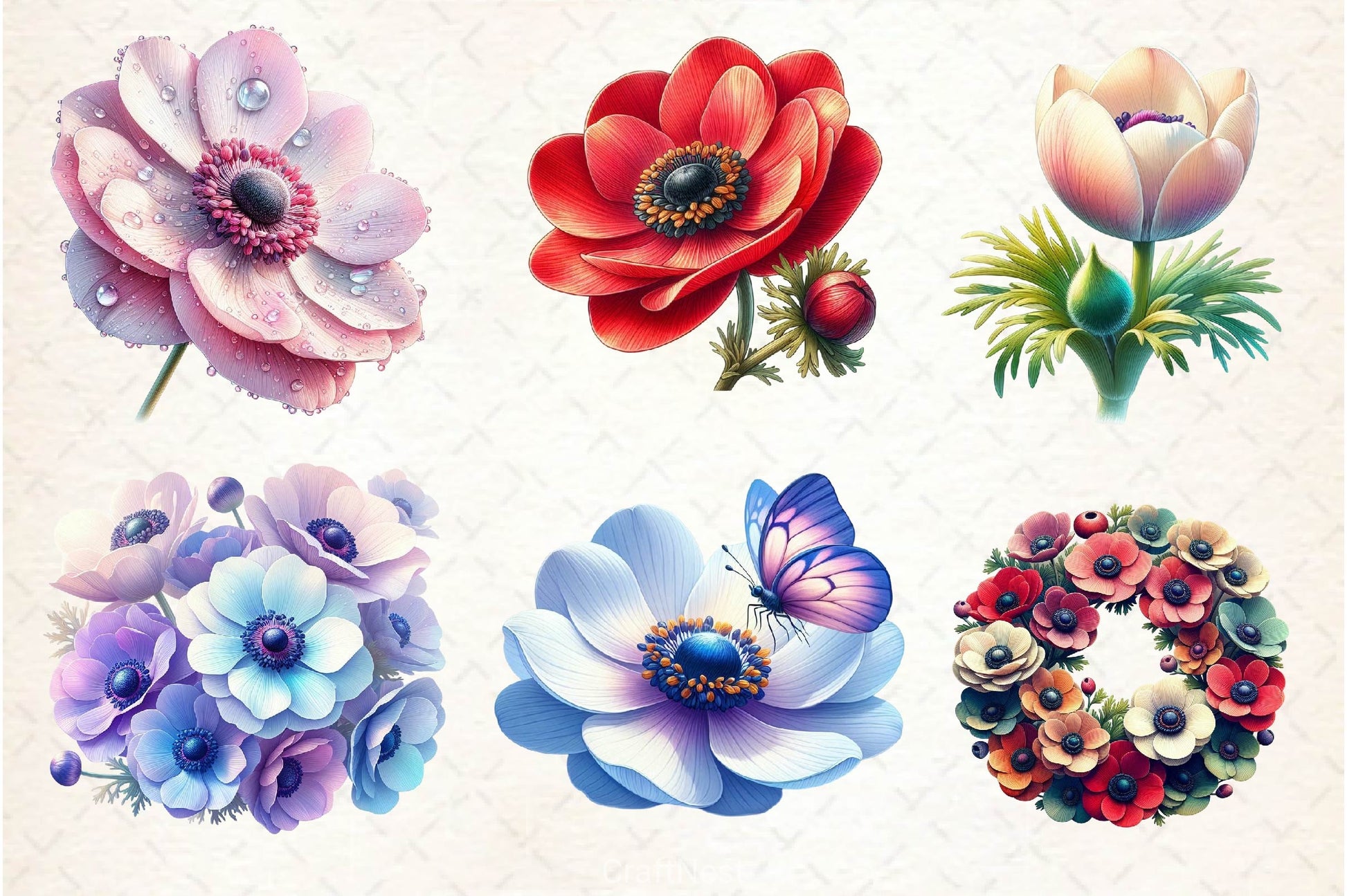 Anemone Flower Bloom Clipart Bundle - CraftNest - Digital Crafting and Art