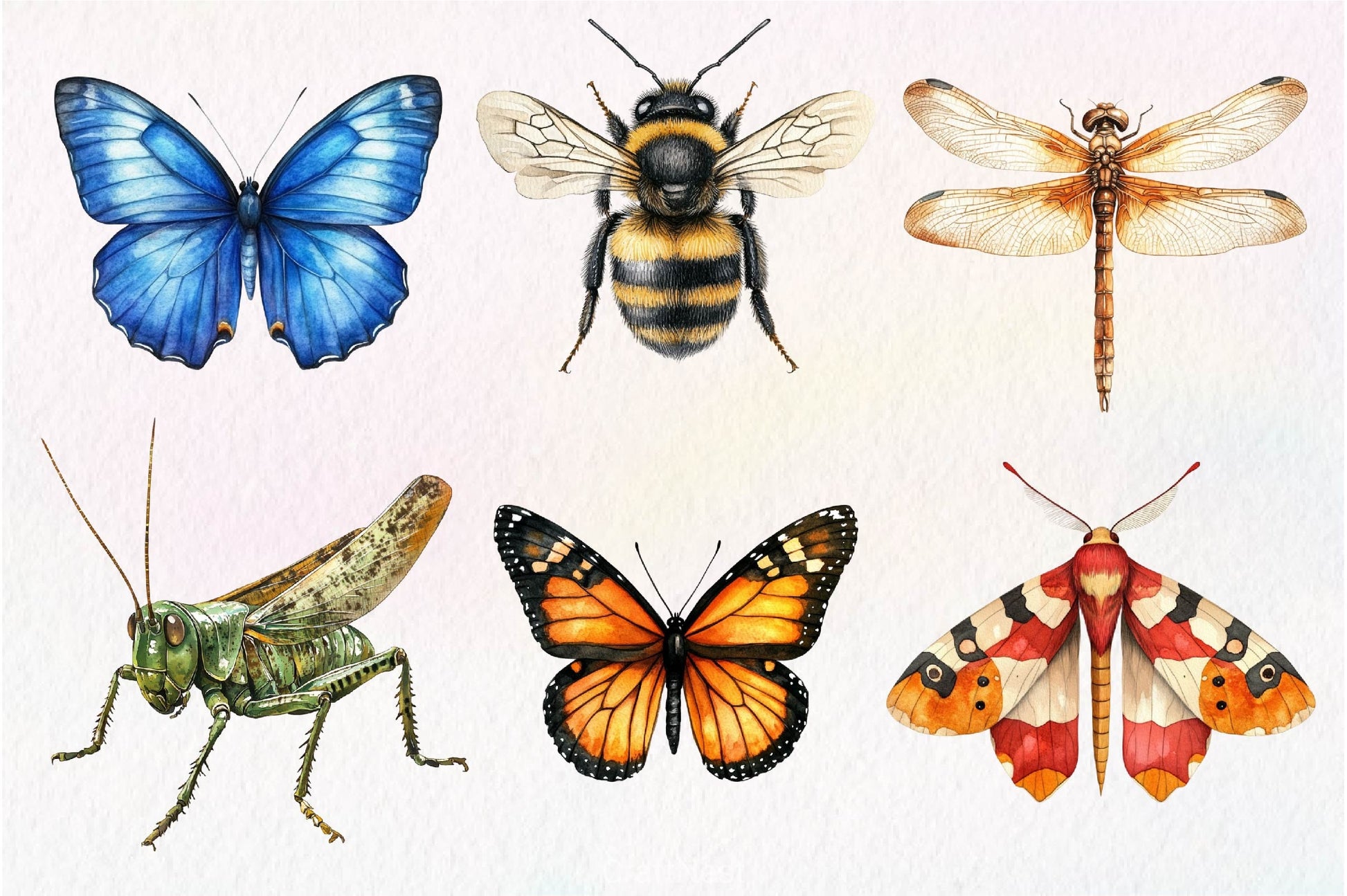 Vintage Insect Clipart Bundle - CraftNest - Digital Crafting and Art