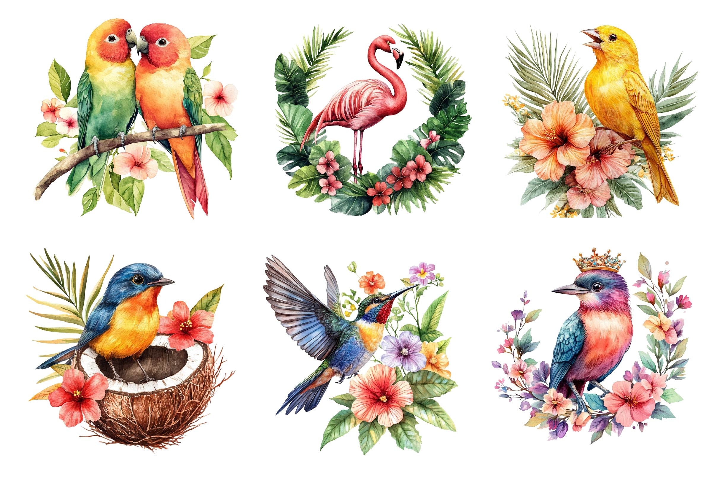 Tropical Birds Garden Clipart Bundle - CraftNest - Digital Crafting and Art