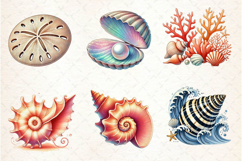 Seashells Clipart Bundle 2 - CraftNest - Digital Crafting and Art