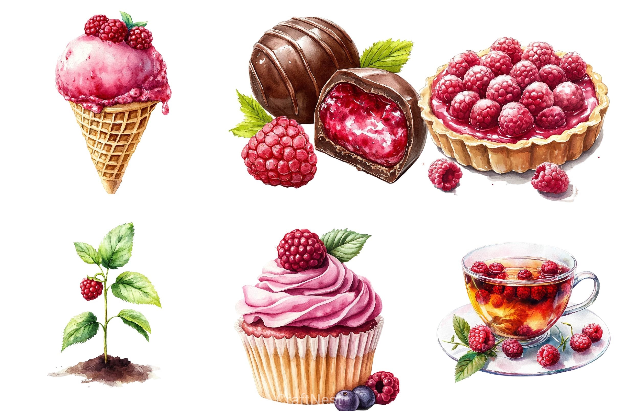 Raspberry Clipart Bundle 3 - CraftNest - Digital Crafting and Art