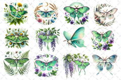 Botanical Floral Luna Moth Clipart Bundle - CraftNest - Digital Crafting and Art