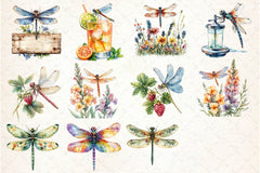 Summer Dragonfly Garden Clipart Bundle 2 - CraftNest - Digital Crafting and Art
