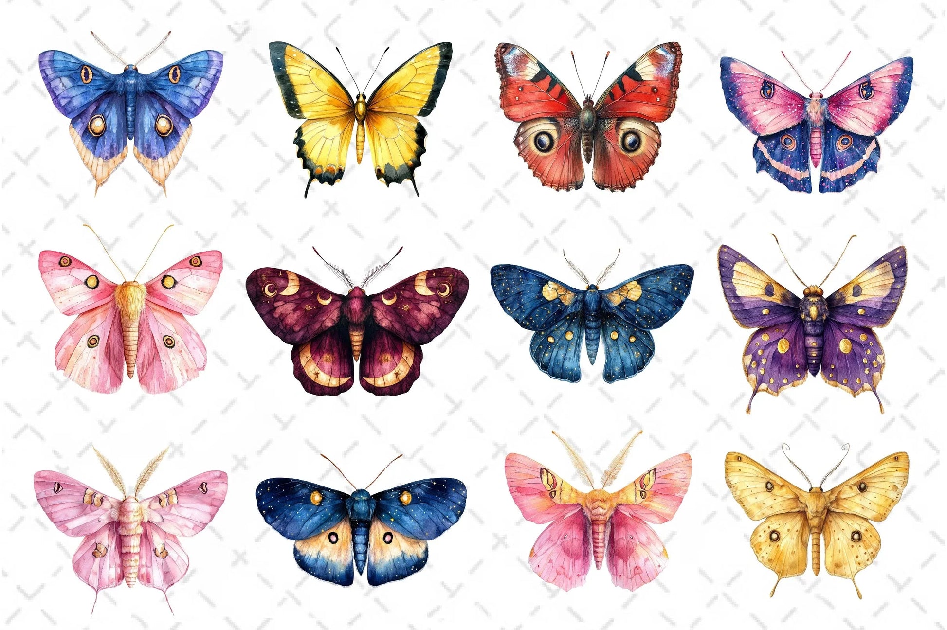 Insects Butterfly & Moth Clipart Bundle - CraftNest - Digital Crafting and Art