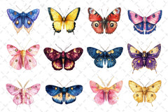 Insects Butterfly & Moth Clipart Bundle - CraftNest - Digital Crafting and Art