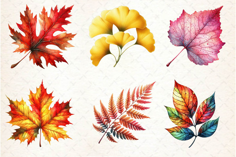 Autumn Leaf Clipart Bundle - CraftNest - Digital Crafting and Art