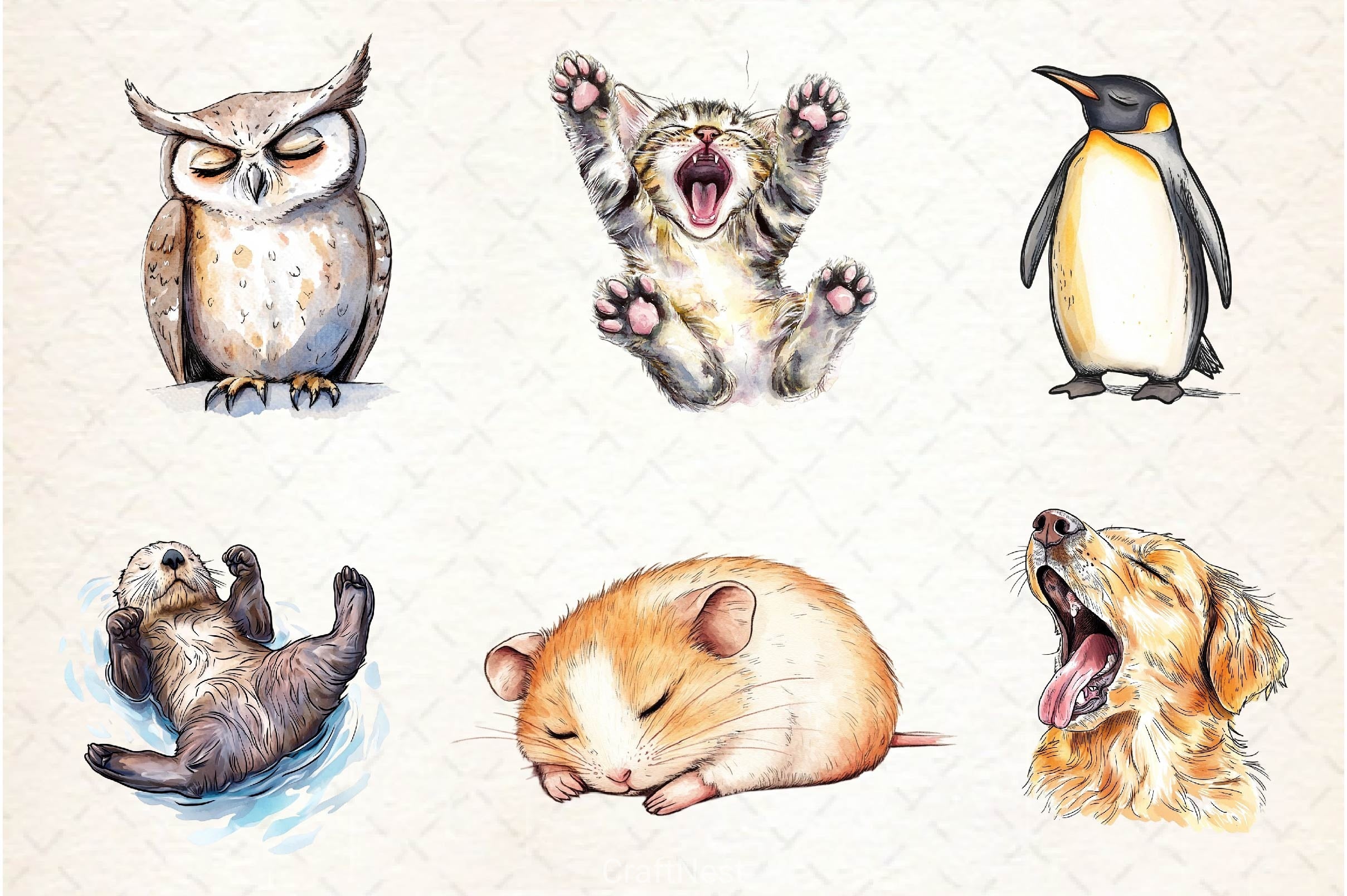 Tired Sleepy Animals Clipart Bundle - CraftNest - Digital Crafting and Art
