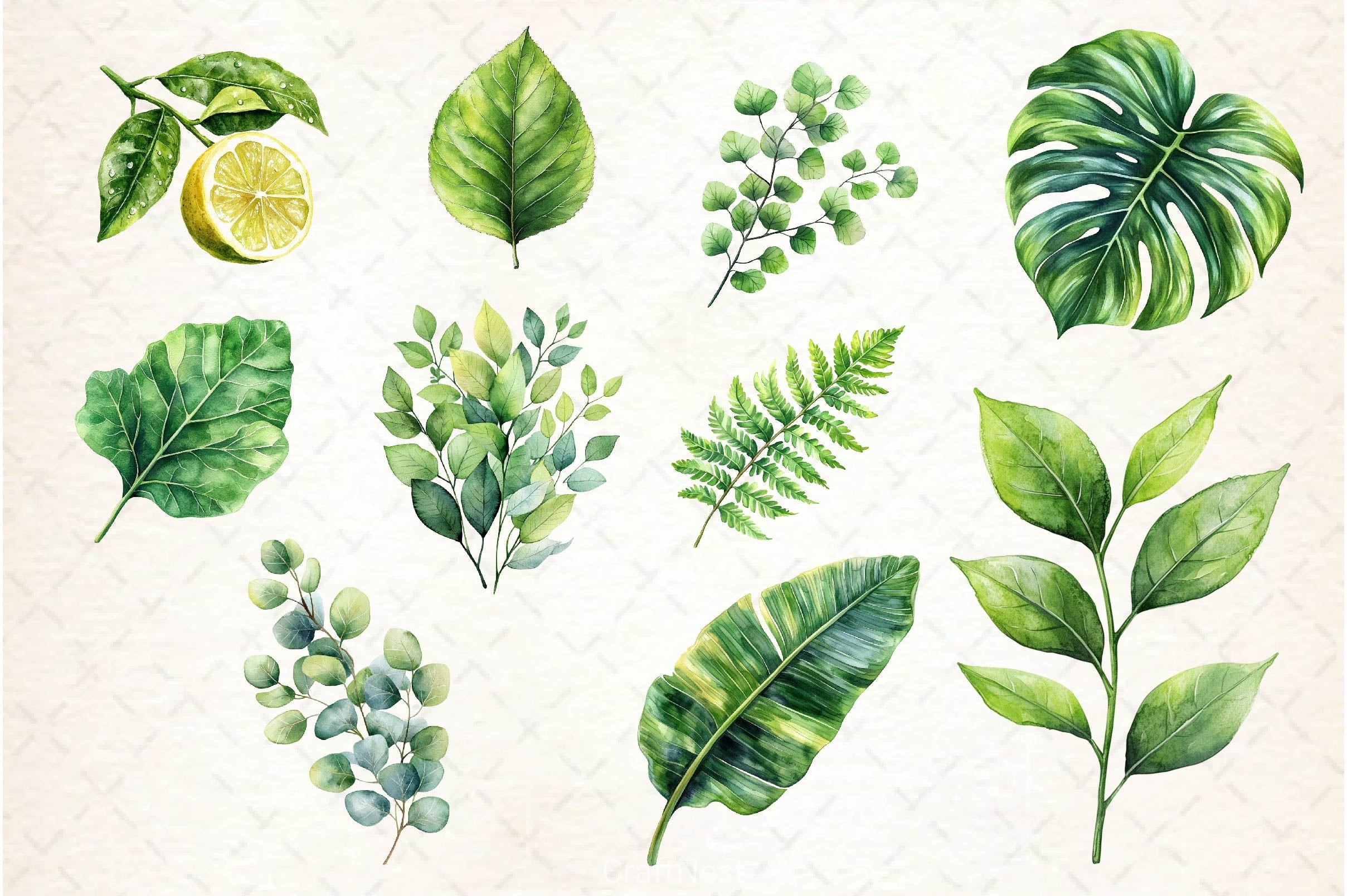 Green Summer Foliage Clipart Bundle 2 - CraftNest - Digital Crafting and Art