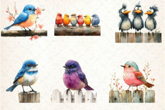 Quirky Birds On Fence Clipart Bundle - CraftNest - Digital Crafting and Art