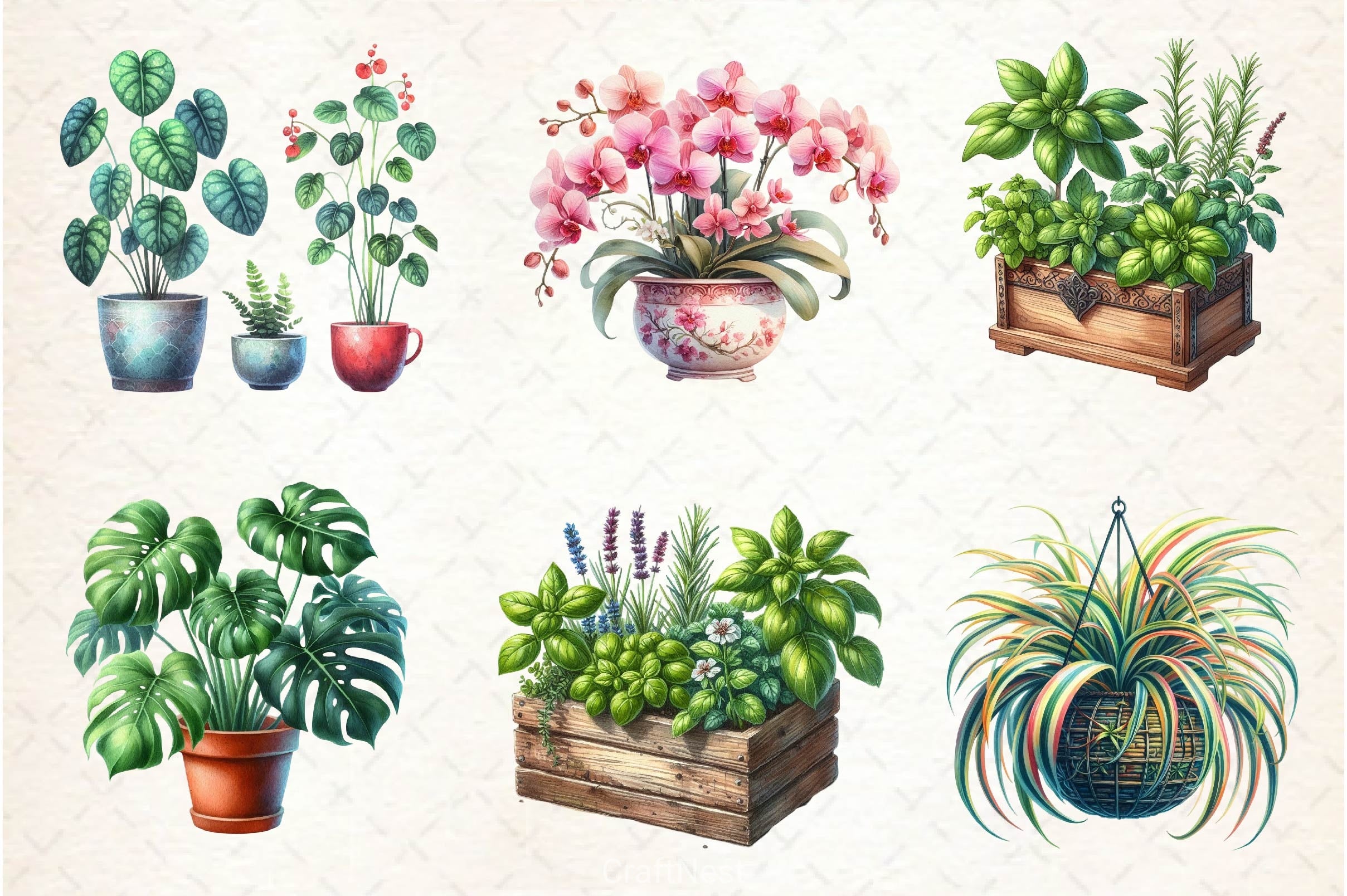 Houseplant Clipart Bundle 3 - CraftNest - Digital Crafting and Art