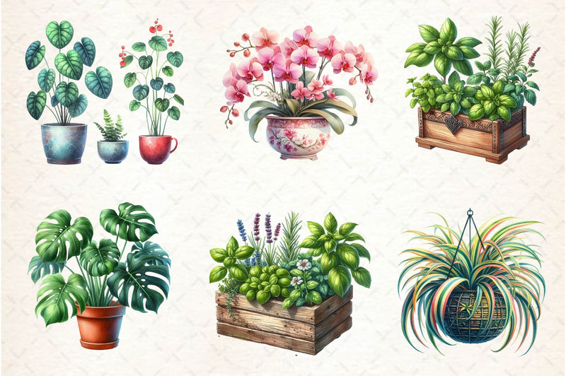 Houseplant Clipart Bundle 3 - CraftNest - Digital Crafting and Art