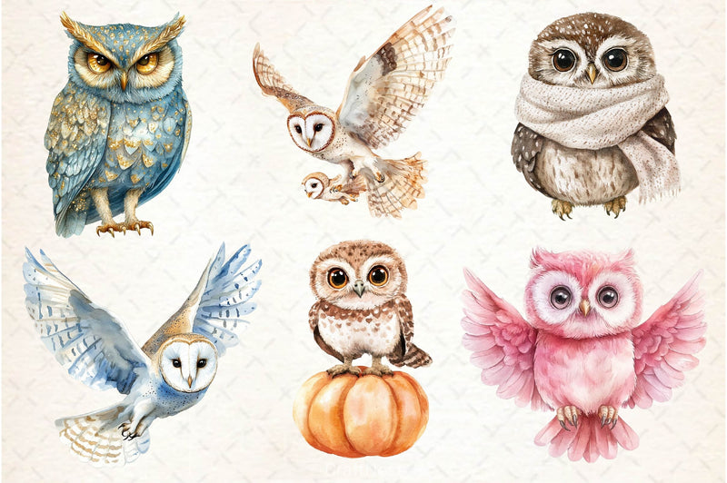 Owl Owlet Clipart Bundle 2 - CraftNest - Digital Crafting and Art