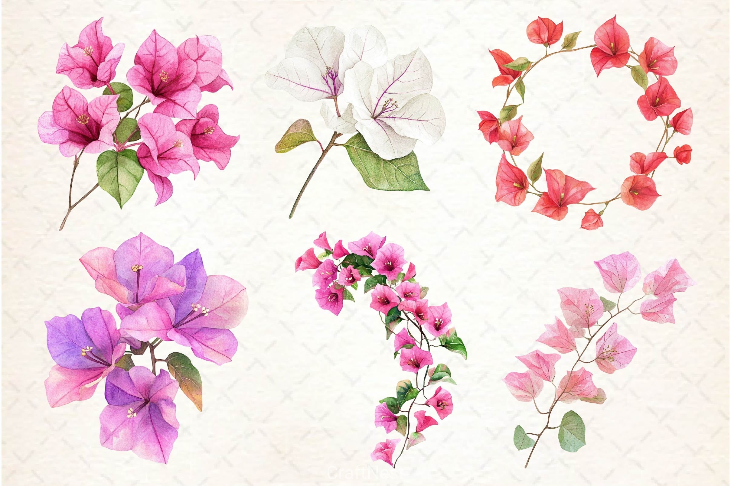 Bougainvillea Flower Clipart Bundle 5 - CraftNest - Digital Crafting and Art