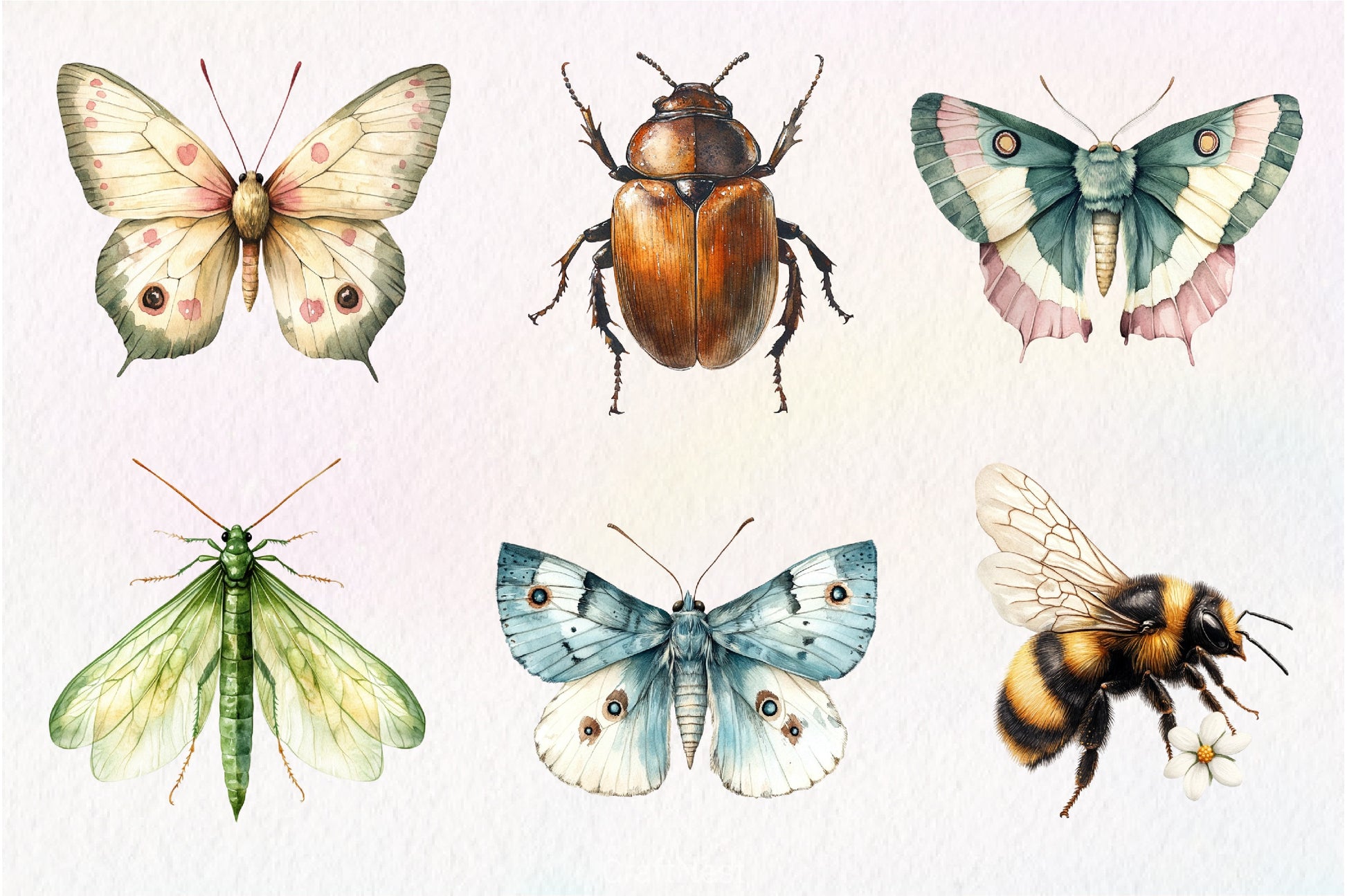 Vintage Spring Insect Clipart Bundle 56 - CraftNest - Digital Crafting and Art