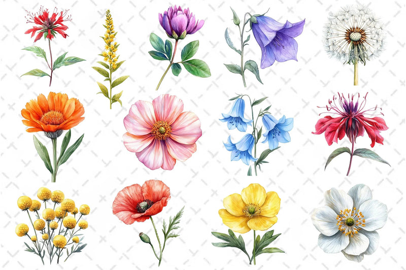 Colorful Meadow Flower Clipart Bundle - CraftNest - Digital Crafting and Art