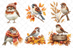 Autumn Sparrows Bird Clipart Bundle 2 - CraftNest - Digital Crafting and Art