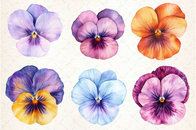 Viola Flower Bloom Clipart Bundle 2 - CraftNest - Digital Crafting and Art