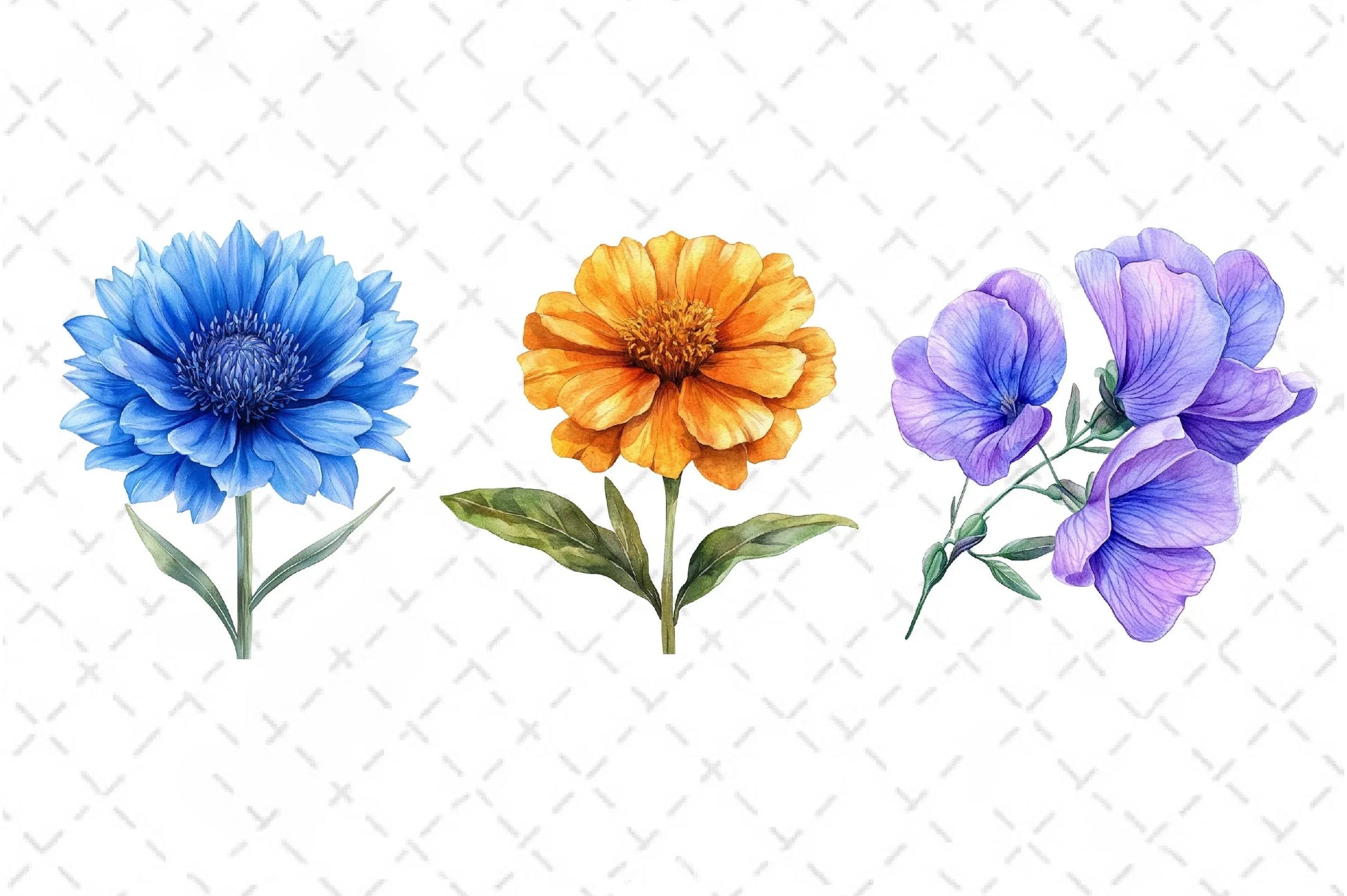 Colorful Meadow Flower Clipart Bundle - CraftNest - Digital Crafting and Art