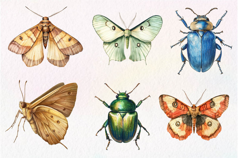Vintage Insect Clipart Bundle - CraftNest - Digital Crafting and Art