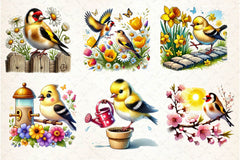 Spring Goldfinch Bird Clipart Bundle 2 - CraftNest - Digital Crafting and Art