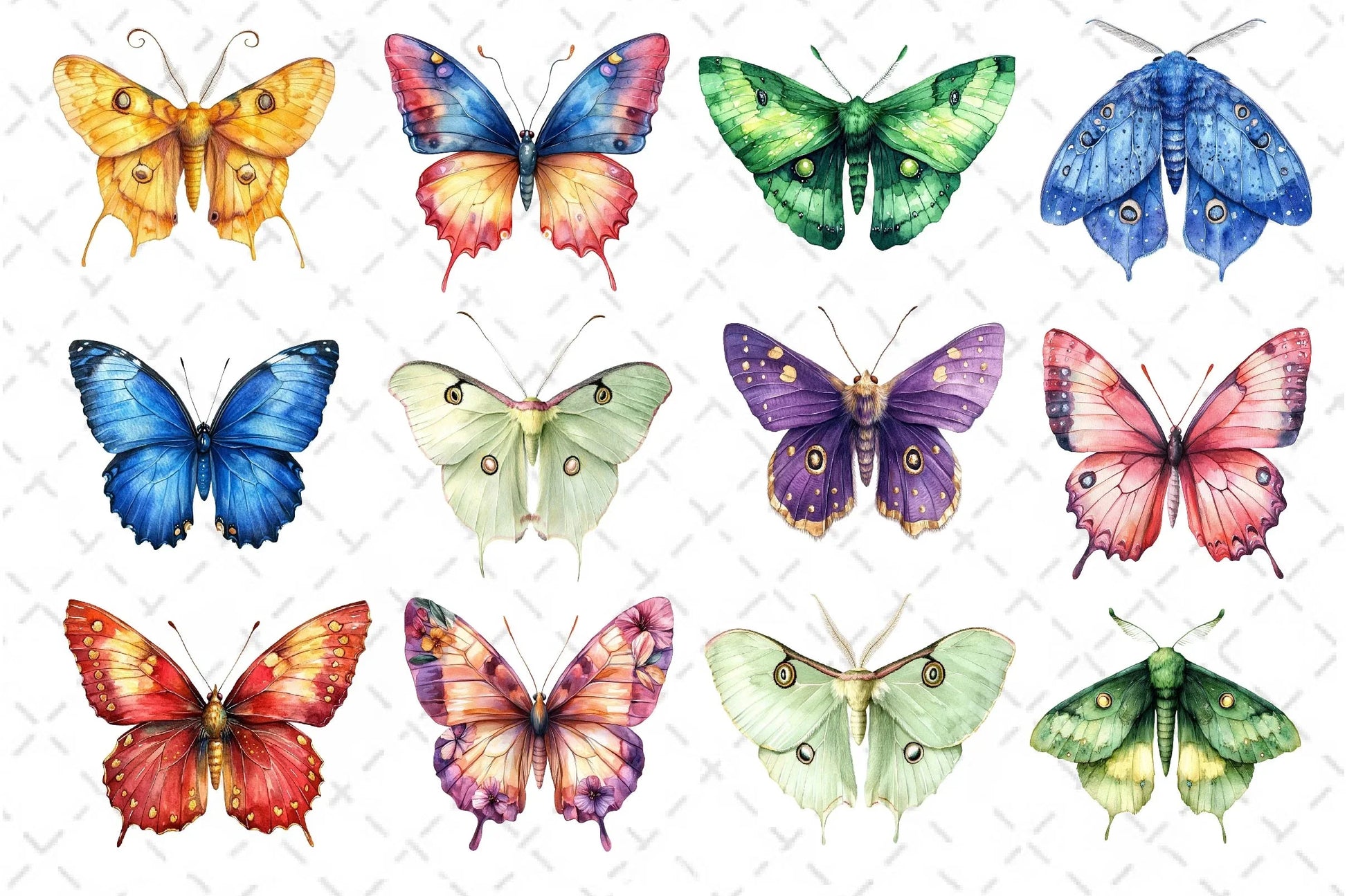 Insects Butterfly & Moth Clipart Bundle - CraftNest - Digital Crafting and Art
