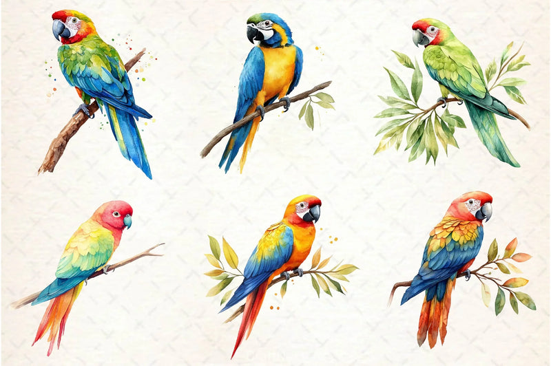 Parrot Clipart Bundle - CraftNest - Digital Crafting and Art