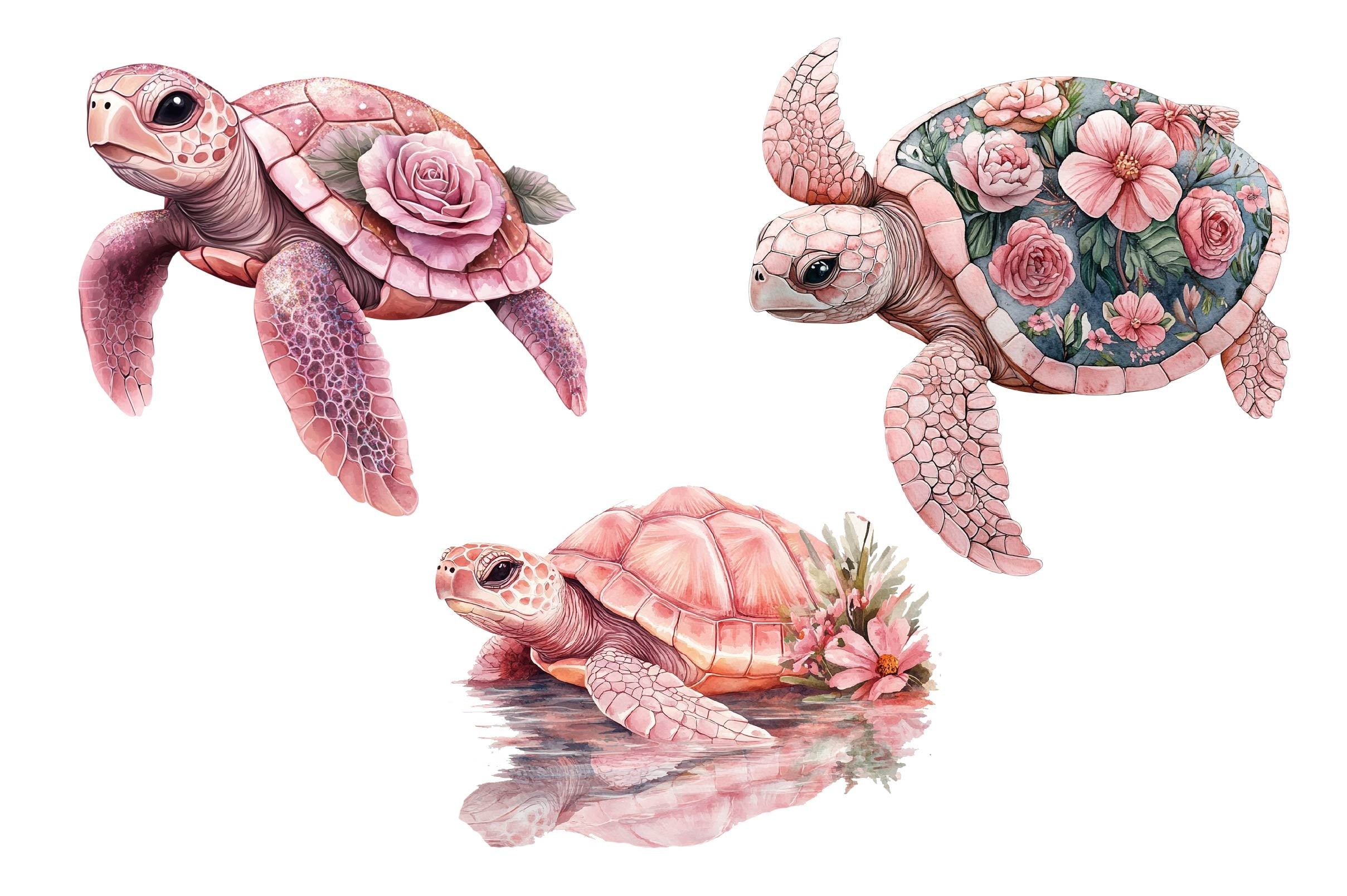 Turtle Patterns Pink Pink Sea Turtle Clipart Bundle