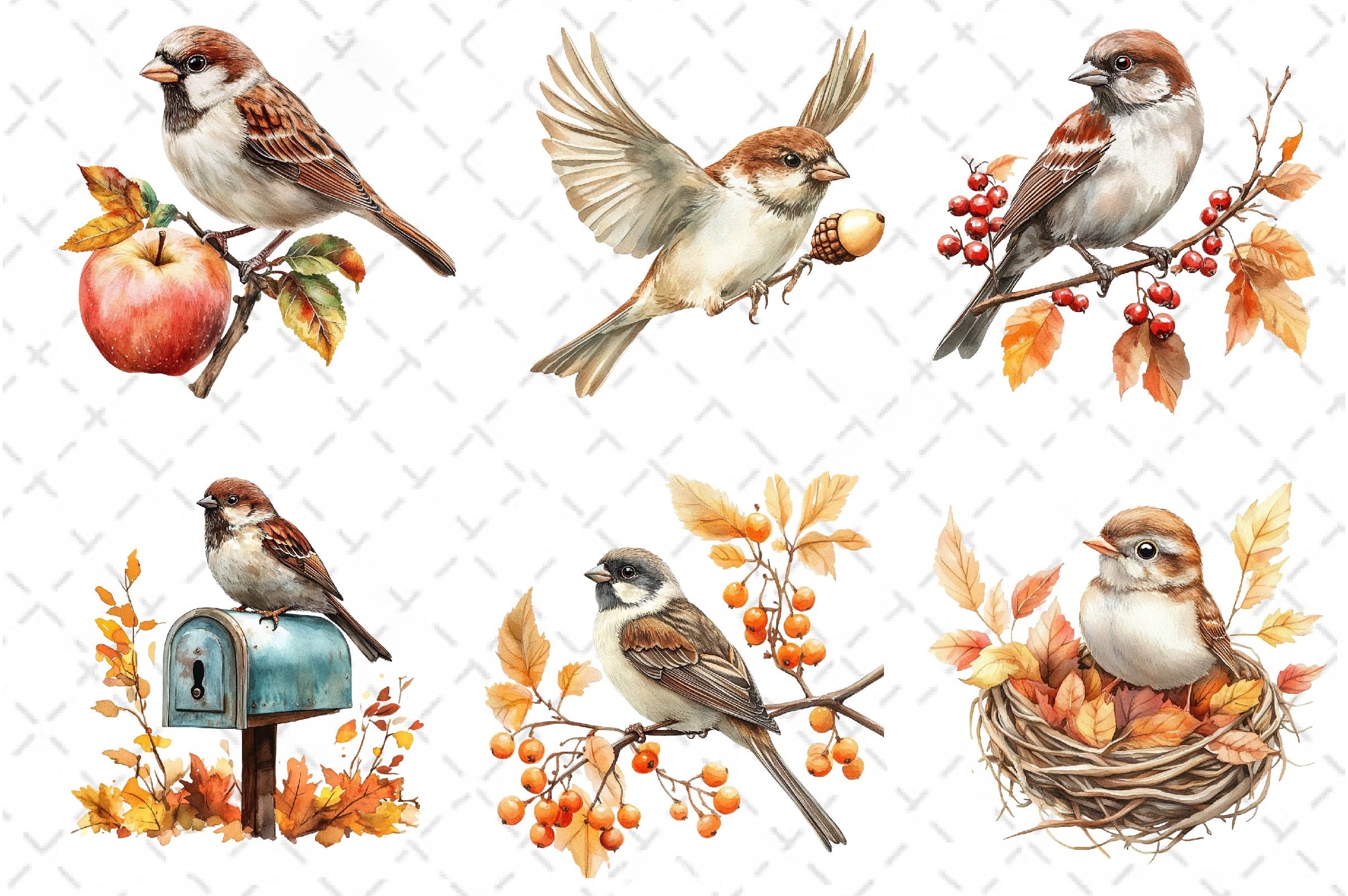 Autumn Sparrows Bird Clipart Bundle 2 - CraftNest - Digital Crafting and Art