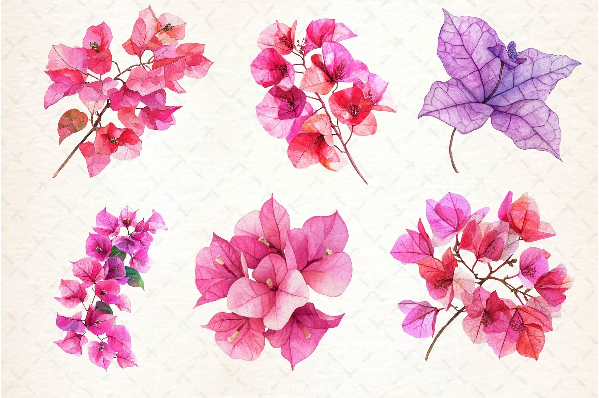 Bougainvillea Flower Clipart Bundle 5 - CraftNest - Digital Crafting and Art