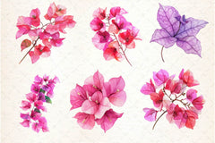 Bougainvillea Flower Clipart Bundle 5 - CraftNest - Digital Crafting and Art