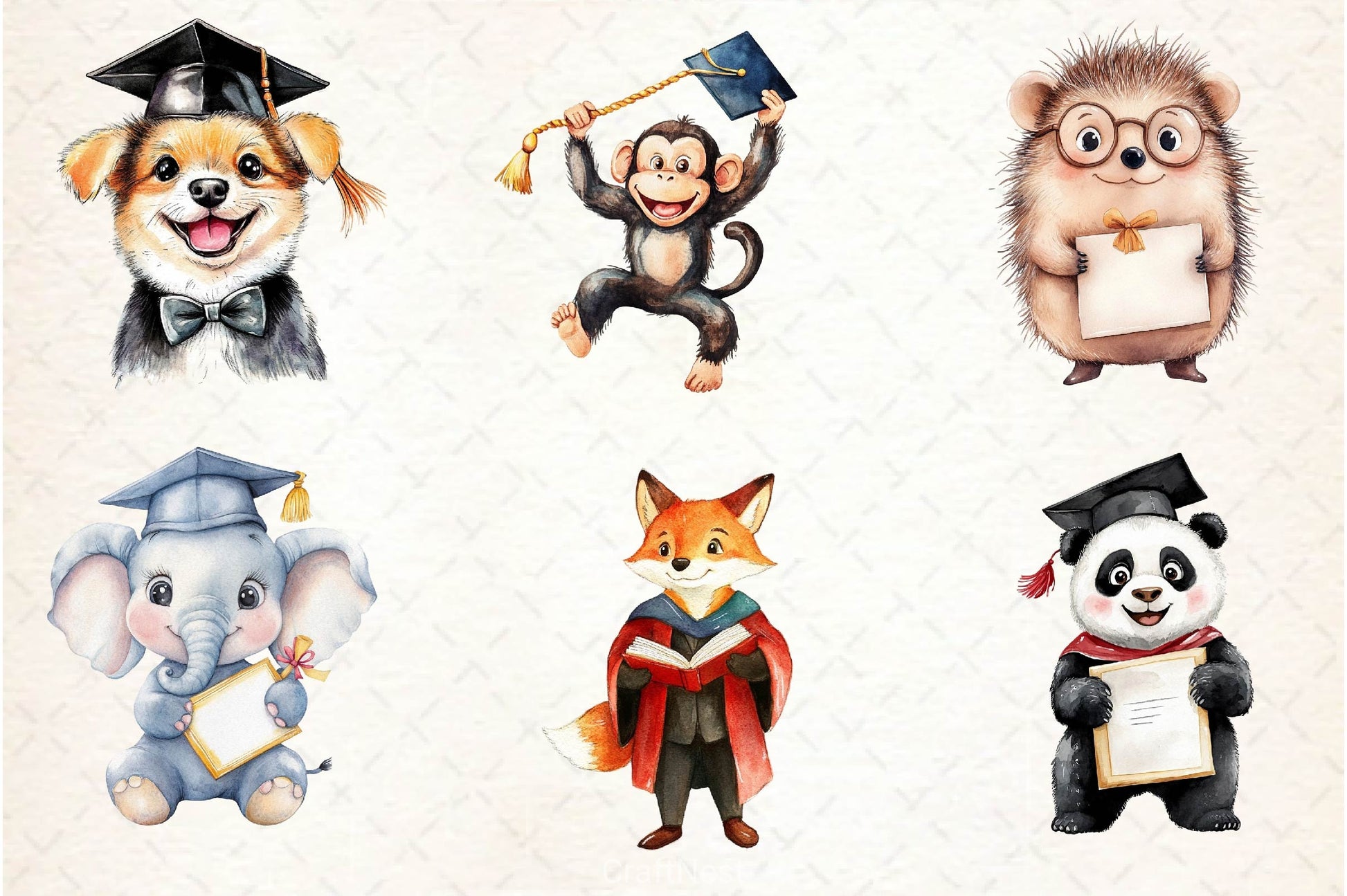 Cute Graduation Clipart Bundle - CraftNest - Digital Crafting and Art