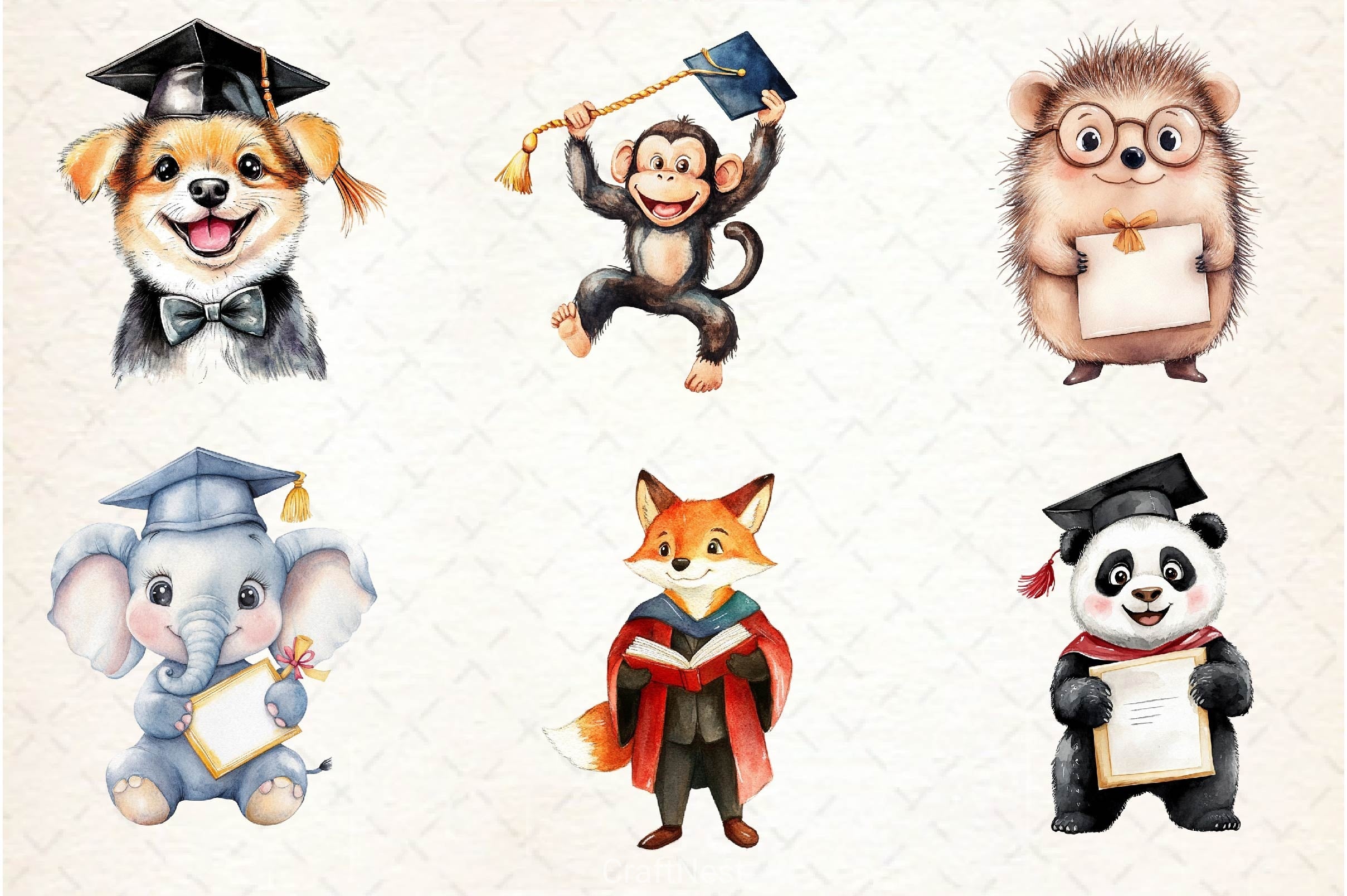 Cute Graduation Clipart Bundle - CraftNest - Digital Crafting and Art