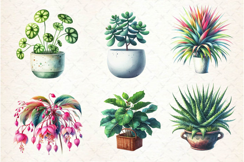 Houseplant Clipart Bundle 3 - CraftNest - Digital Crafting and Art