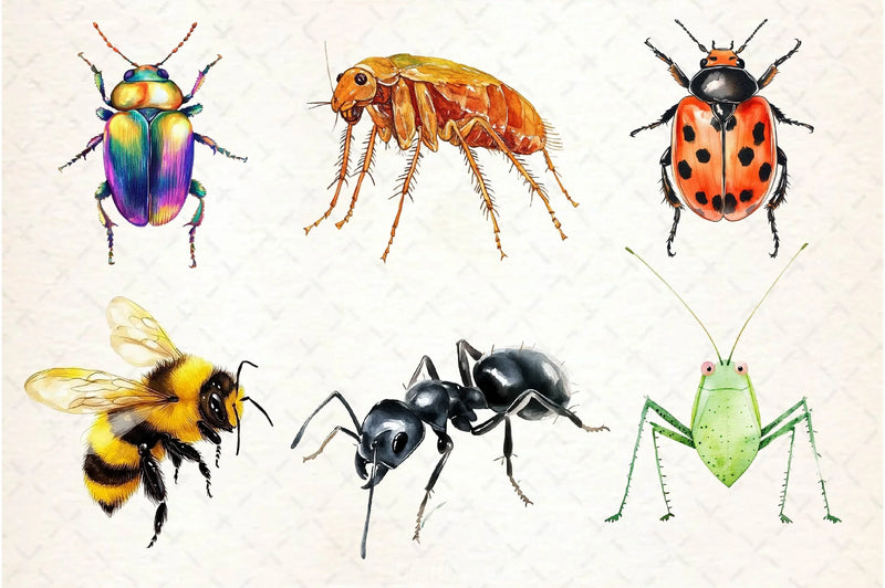 Bugs Clipart Bundle - CraftNest - Digital Crafting and Art