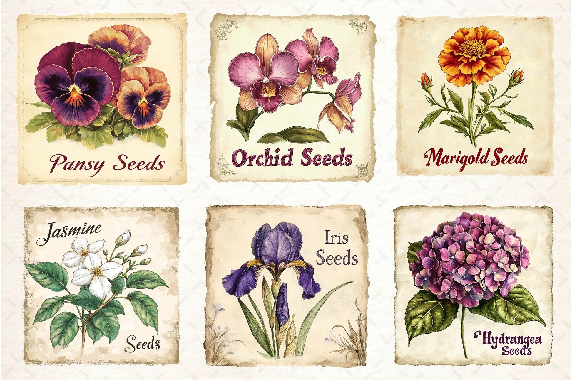 Vintage Flowers Seed Packet Clipart Bundle 2 - CraftNest - Digital Crafting and Art