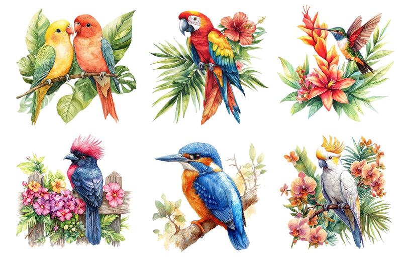 Tropical Birds Garden Clipart Bundle - CraftNest - Digital Crafting and Art