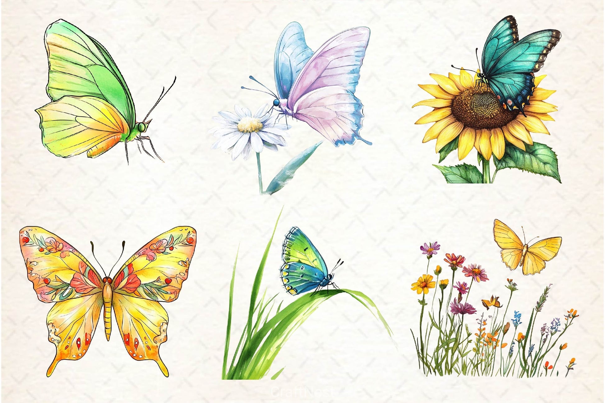 Summer Butterfly Clipart Bundle 3 - CraftNest - Digital Crafting and Art