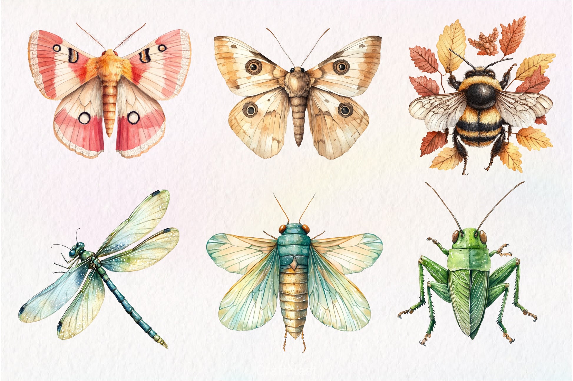 Vintage Spring Insect Clipart Bundle 56 - CraftNest - Digital Crafting and Art