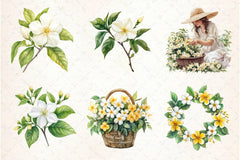 Spring Jasmine Flower Clipart Bundle - CraftNest - Digital Crafting and Art
