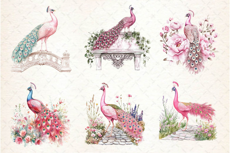 Pink Peacocks Garden Clipart Bundle 2 - CraftNest - Digital Crafting and Art