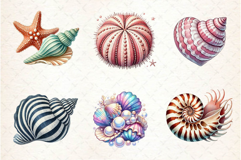 Seashells Clipart Bundle 2 - CraftNest - Digital Crafting and Art