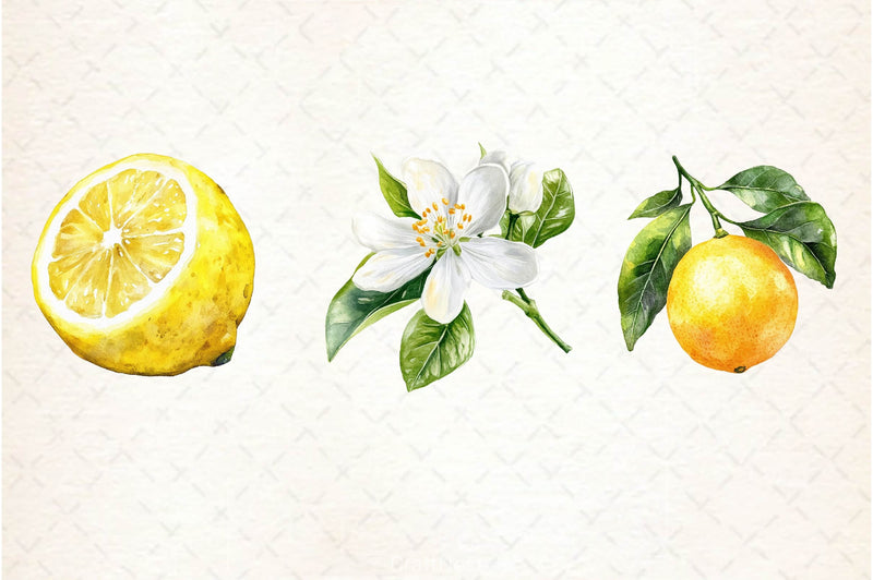 Lemon Clipart Bundle 2 - CraftNest - Digital Crafting and Art