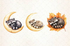Raccoon Kit Clipart Bundle 2 - CraftNest - Digital Crafting and Art