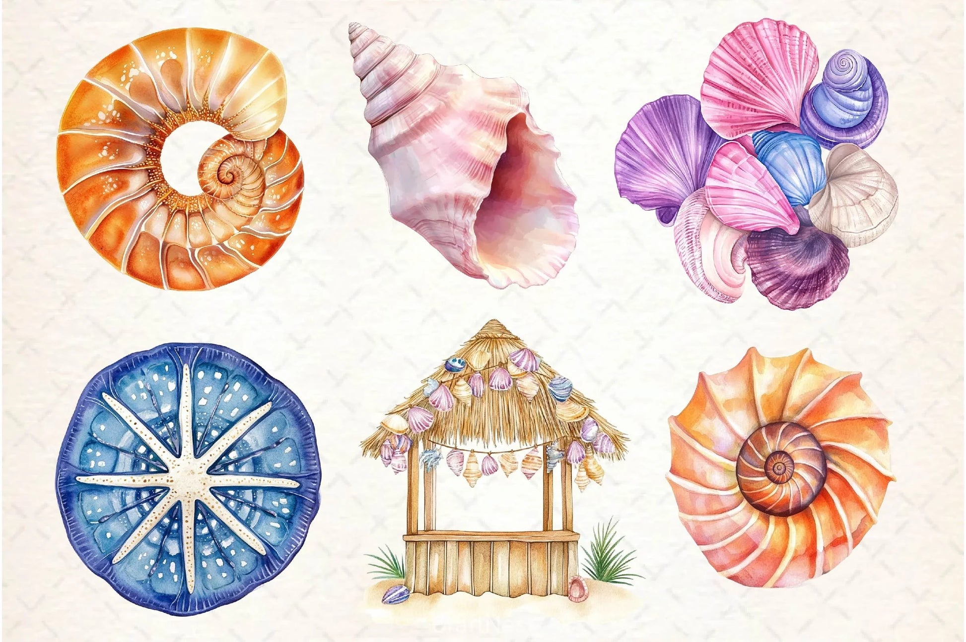 Summer Seashell Clipart Bundle 2 - CraftNest - Digital Crafting and Art