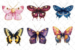 Insects Butterfly & Moth Clipart Bundle - CraftNest - Digital Crafting and Art