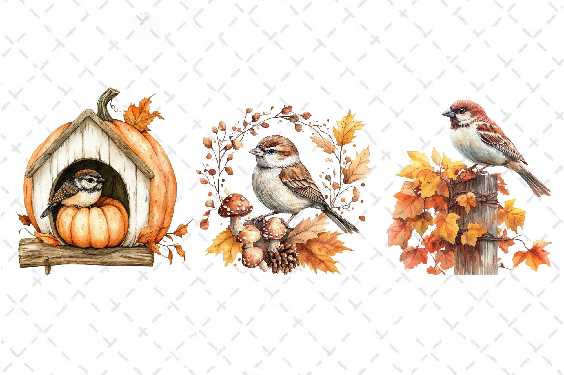 Autumn Sparrows Bird Clipart Bundle 2 - CraftNest - Digital Crafting and Art