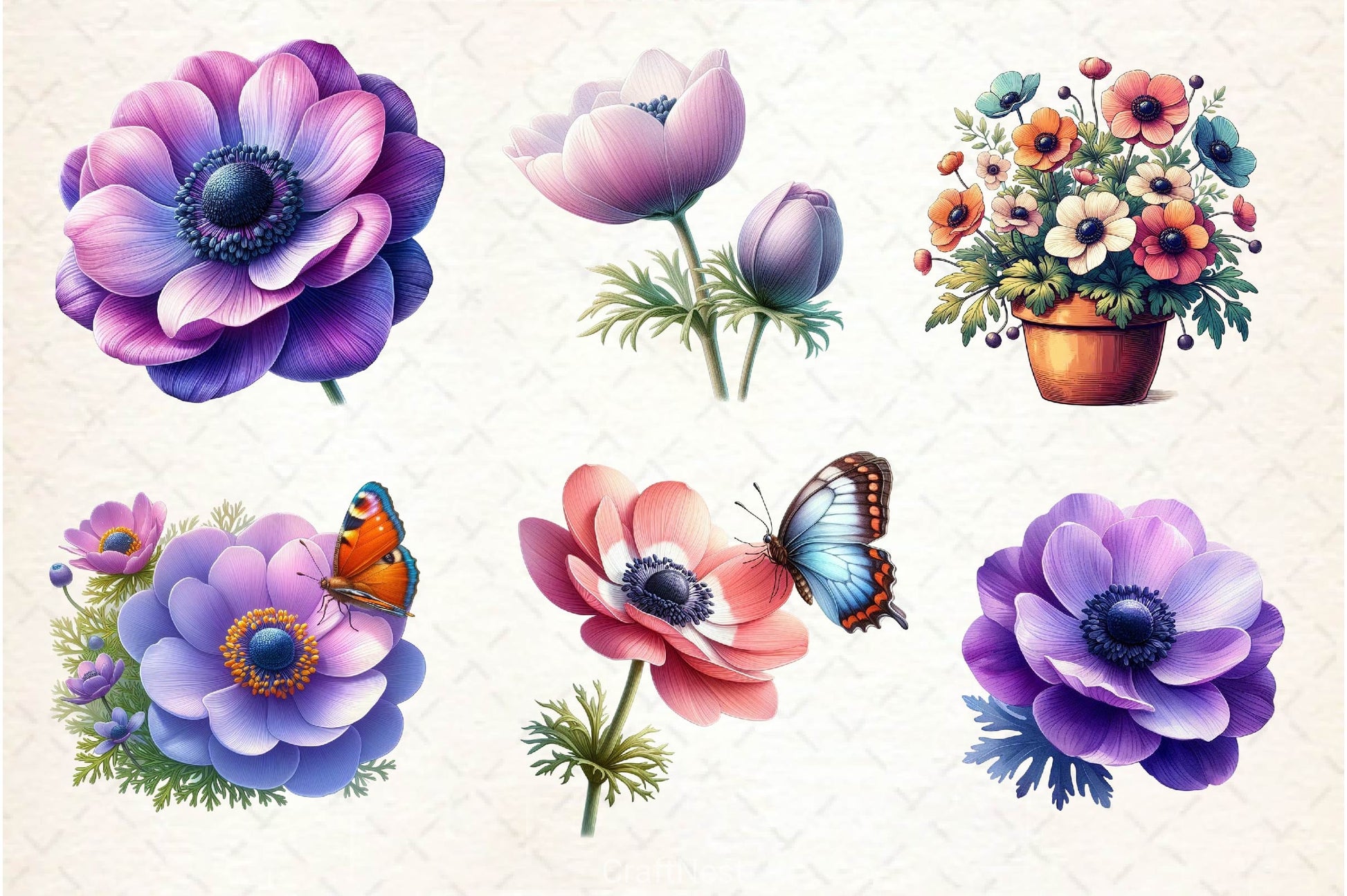 Anemone Flower Bloom Clipart Bundle - CraftNest - Digital Crafting and Art