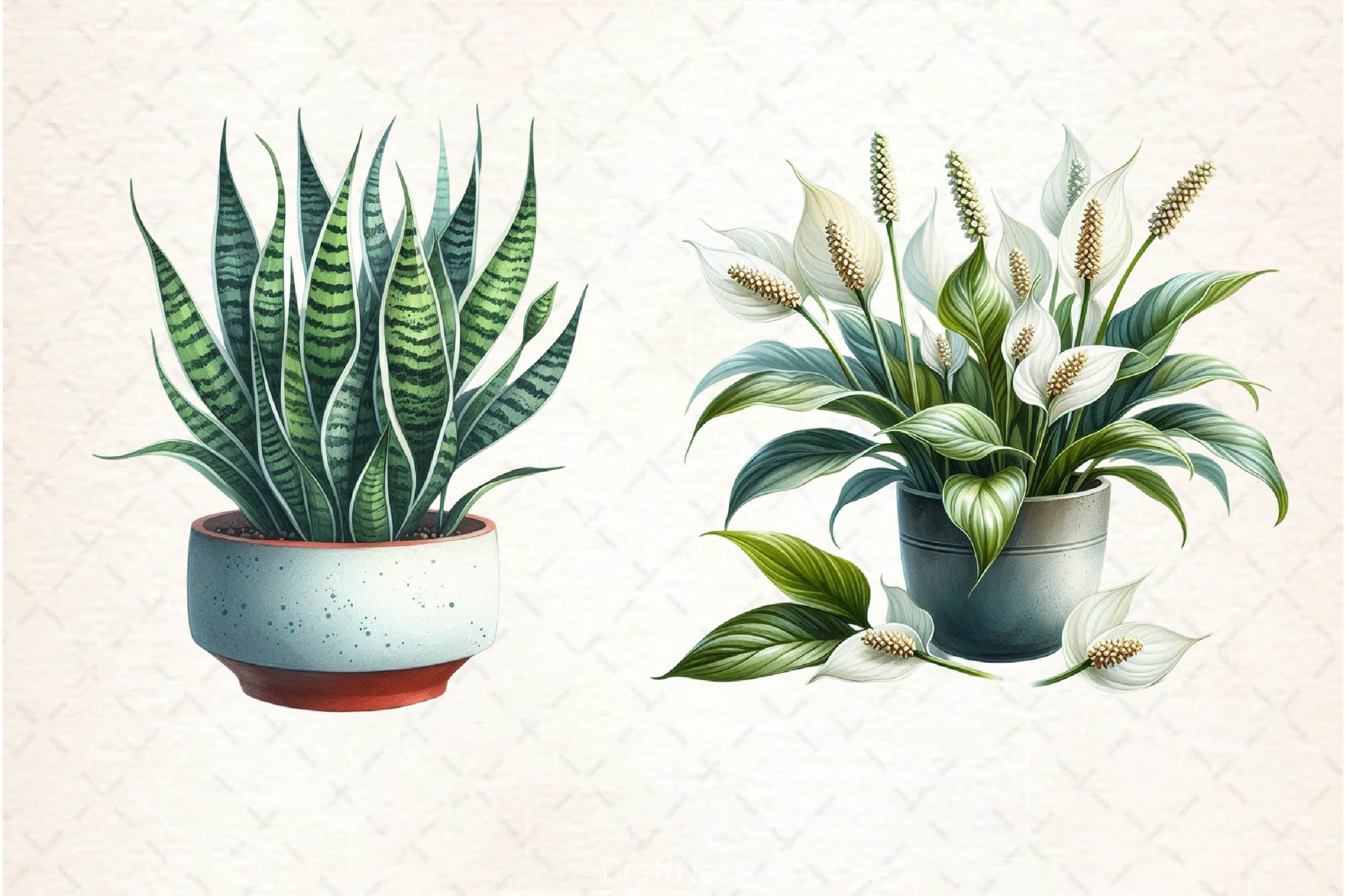 Houseplant Clipart Bundle 3 - CraftNest - Digital Crafting and Art
