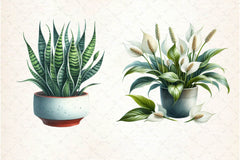 Houseplant Clipart Bundle 3 - CraftNest - Digital Crafting and Art