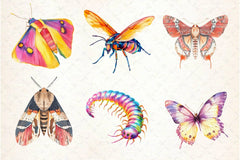 Bugs Clipart Bundle - CraftNest - Digital Crafting and Art